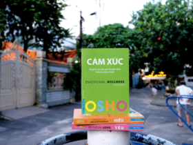 review sách cảm xúc