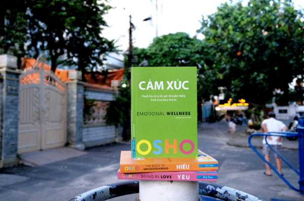 review sách cảm xúc