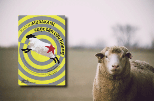 cuộc săn cừu hoang