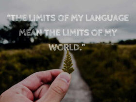 Câu nói truyền động lực học ngoại ngữ