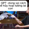 Sử dụng chat GPT đúng cách trong học tập